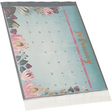 Clear View Poly Mailers