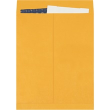 Kraft Jumbo Envelopes