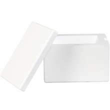 Insulated Foam Container