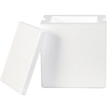 Insulated Foam Containers