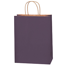 Purple Tinted Shopping Bags