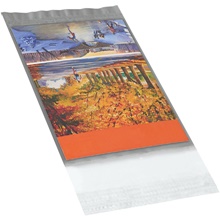 Clear View Poly Mailers