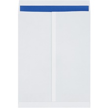 White Jumbo Envelopes