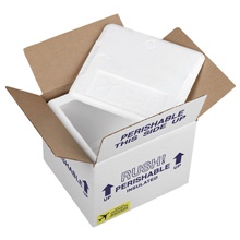 Overnite Insulated Shipper - 3/4" Foam Wall