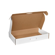 White Carrying Cases