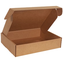 Kraft Deluxe Literature Mailer