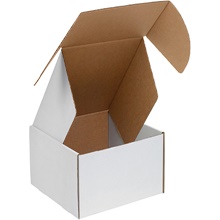 White Deluxe Literature Mailer