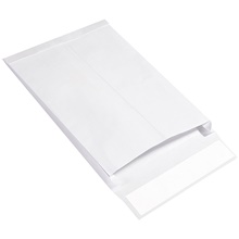 Expandable Ship-Lite® Envelopes