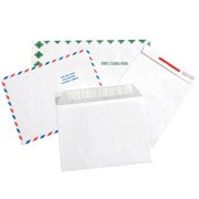 Tyvek<span class='rtm'>®</span> Envelopes