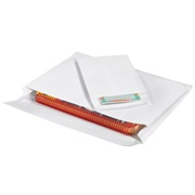 Ship-Lite<span class='rtm'>®</span> Envelopes